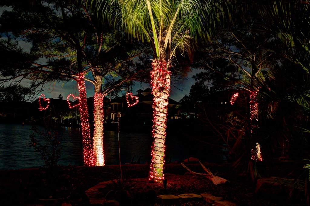 string lights wrapped around trees