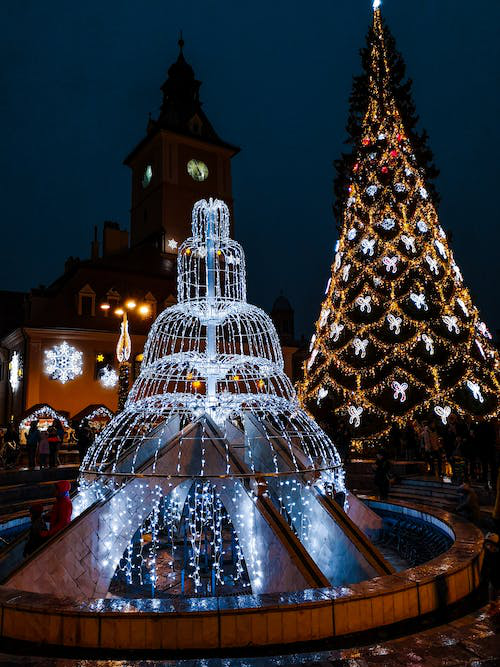 : a Christmas tree near a fountain