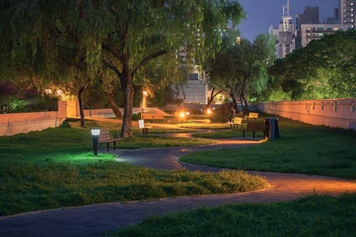 landscape lights in the garden