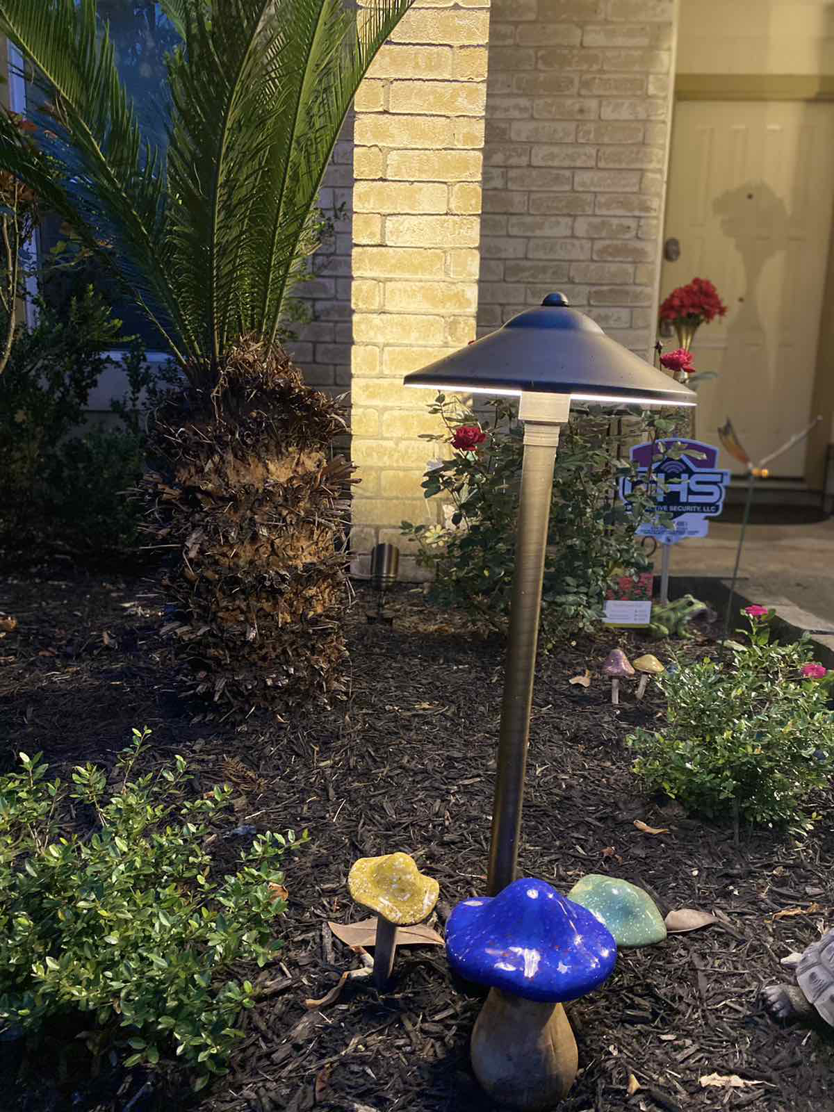 A garden with landscape lighting.